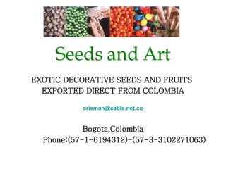 EXOTIC DECORATIVE SEEDS AND FRUITS  EXPORTED DIRECT FROM COLOMBIA [email_address] Bogota,Colombia Phone:(57-1-6194312)-(57-3-3102271063) Seeds and Art 