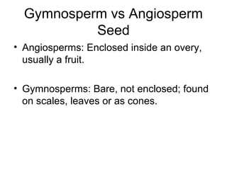 Gymnosperm vs Angiosperm
Seed
• Angiosperms: Enclosed inside an overy,
usually a fruit.
• Gymnosperms: Bare, not enclosed; found
on scales, leaves or as cones.