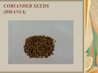 CORIANDER SEEDS (DHANIA) 
