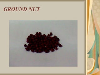 GROUND NUT 
