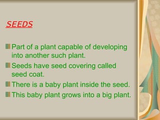 SEEDS Part of a plant capable of developing into another such plant. Seeds have seed covering called seed coat. There is a baby plant inside the seed. This baby plant grows into a big plant. 