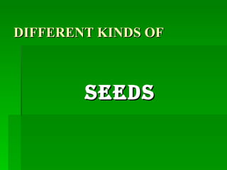 DIFFERENT KINDS OF   SEEDS 