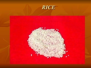 RICE 