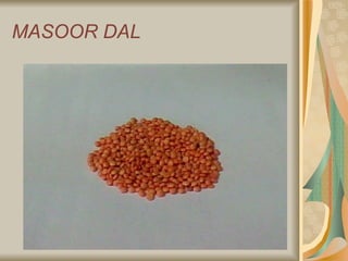 MASOOR DAL 