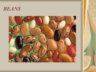 BEANS 