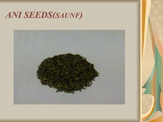 ANI SEEDS( SAUNF ) 