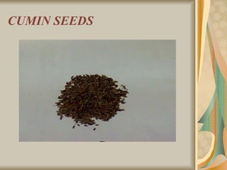 CUMIN SEEDS 
