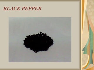 BLACK PEPPER 