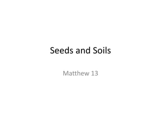 Seeds and soils