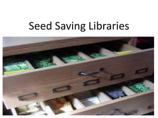 Seed Saving Libraries
 