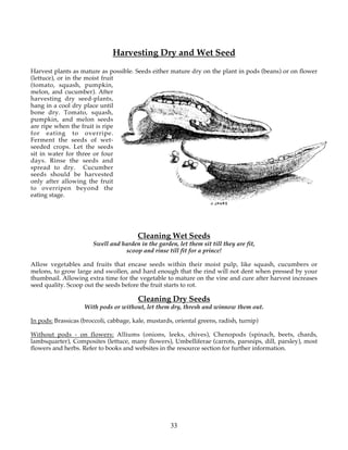 Harvesting Dry and Wet Seed
Harvest plants as mature as possible. Seeds either mature dry on the plant in pods (beans) or on flower
(lettuce), or in the moist fruit
(tomato, squash, pumpkin,
melon, and cucumber). After
harvesting dry seed-plants,
hang in a cool dry place until
bone dry. Tomato, squash,
pumpkin, and melon seeds
are ripe when the fruit is ripe
for eating to overripe.
Ferment the seeds of wet-
seeded crops. Let the seeds
sit in water for three or four
days. Rinse the seeds and
spread to dry. Cucumber
seeds should be harvested
only after allowing the fruit
to overripen beyond the
eating stage.




                                        Cleaning Wet Seeds
                       Swell and harden in the garden, let them sit till they are fit,
                                  scoop and rinse till fit for a prince!

Allow vegetables and fruits that encase seeds within their moist pulp, like squash, cucumbers or
melons, to grow large and swollen, and hard enough that the rind will not dent when pressed by your
thumbnail. Allowing extra time for the vegetable to mature on the vine and cure after harvest increases
seed quality. Scoop out the seeds before the fruit starts to rot.

                                         Cleaning Dry Seeds
                    With pods or without, let them dry, thresh and winnow them out.

In pods: Brassicas (broccoli, cabbage, kale, mustards, oriental greens, radish, turnip)

Without pods - on flowers: Alliums (onions, leeks, chives), Chenopods (spinach, beets, chards,
lambsquarter), Composites (lettuce, many flowers), Umbelliferae (carrots, parsnips, dill, parsley), most
flowers and herbs. Refer to books and websites in the resource section for further information.




                                                     33
 