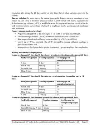 Reading	
  material,	
  SST	
  by	
  Dr.	
  Vishwanath	
  Koti,	
  Asst.	
  Professor,	
  UAS,	
  GKVK,	
  Bangalore-­‐65	
   Page	
  44	
  
	
  
production plot should be 21 days earlier or later than that of other varieties grown in the
vicinity.
Barrier isolation: In some places, the natural topographic features such as mountains, rivers,
forests etc. can serve as the most effective barrier. A crop barrier with maize, sugarcane and
Sesbania covering a distance of 30 m would also serve the purpose of isolation. Artificial barrier
with polythene sheets and seed nets of about 3 m height can also be used in case of small scale
seed production.
Nursery management and seed rate
• Prepare raised seedbeds (5-10 cm height) of 1m width of any convenient length.
• Provide drainage channels (30 cm) in between seedbeds to drain excess water.
• Sow pregerminated seed uniformly on the seedbed (@ of 1-2kg seed/20m2
)
• Use 15 kg of `A’ line seed and 5 kg of `R’ line seed to produce sufficient seedlings to
grow in one hectare each.
• Manage the seedbed properly for getting healthy and vigorous seedlings for transplanting.
Seeding and transplanting sequence
In case seed parent (A line) has 10 days longer growth duration than pollen parent (R line):
Seed/pollen parent Seeding sequence Seedling age for
transplanting (days)
A line 0 day 25
First R line 6th day 29
Second R line 10th day 25
Third R line 14th day 21
In case seed parent (A line) has 10 days shorter growth duration than pollen parent (R
line):
Seed/pollen parent Seeding sequence Seedling age for
transplanting (days)
First R line 0 day 29
Second R line 4th day 25
Third R line 8th day 21
A line 14th day 25
In case seed parent (A line) has same growth duration as pollen parent (R line):
Seed/pollen parent Seeding sequence Seedling age for
transplanting (days)
First R line 0 day 29
Second R line and A line 4th day 25
Third R line 8th day 21
 
