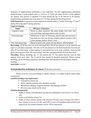 Reading	
  material,	
  SST	
  by	
  Dr.	
  Vishwanath	
  Koti,	
  Asst.	
  Professor,	
  UAS,	
  GKVK,	
  Bangalore-­‐65	
   Page	
  46	
  
	
  
frequency of supplementary pollination is very important. The first supplementary pollination
should be done at peak anthesis time i.e. 8.30 a.m. to 10.30 a.m. when 30-40 % of the spikelets
are opened. This process is repeated 3–4 times during the day at an interval of 30 minutes.
Supplementary pollination has to be done for 7-10 days during the flowering period.
Field Inspection: A minimum of four inspections shall be made (1st
before flowering, 2nd
and 3rd
during flowering and 4th
during maturity)
Stages of rouging
Stages Off types Characters
Vegetative stage Based on plant characters like plant height, leaf color, leaf
size, leaf shape and pigmentation color on stem.
Flowering stage Differences in days of flowering, panical type and awenness,
any plant on a line row having complete panicle exertion with
yellow plumpy anthers ,flower color.
Free harvesting stage Based on grain color ,grain size any disease affected plants.
Harvesting: All R line rows are to be harvested first. The R line harvest is to be removed and
kept in a safe place separately. The left over R line panicles in the field should also be removed.
After R line harvesting, a final roguing in seed parent has to be done carefully, removing the
plants showing more than 70% seed setting. Then the seed parent plants are to be harvested.
Threshing: During threshing, the `A’ line parent and `R’ line parent harvests must be kept
separate from each other. The A and R lines should be threshed separately. Before starting
threshing, all the threshing equipment, threshing floor and tarpaulin to be thoroughly cleaned.
Grading:
Seed yield: 6-8 q ha-1
Seed production techniques in wheat (Triticum aestivum)
	
  
Wheat (Triticum aestivum) belongs to family Poaceae. It is staple food od many Indian
communities
Land/Proceeding crop requirement
ü It should be a fertile one.
ü Saline /alkaline problem soils should be avoided
ü Should have adequate irrigation facilities and drainage facilities
ü Previous crops should not be wheat
Isolation Requirement
ü Highly is mainly self pollinated crop and cross pollination varies from 0.1 to 4.0 per
cent.
ü Isolate seed field by at least 3 m
ü Fields of wheat, triticale and rye with infection of Loose smut (Ustilago tritici (Pers.)
Jens.) disease in excess of 0.10% and 0.50% in case of Foundation and Certified seed,
respectively the isolation distance will be 150 m respectively
 
