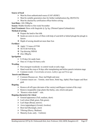 Reading	
  material,	
  SST	
  by	
  Dr.	
  Vishwanath	
  Koti,	
  Asst.	
  Professor,	
  UAS,	
  GKVK,	
  Bangalore-­‐65	
   Page	
  47	
  
	
  
Source of Seed
Ø Must be from authenticated source (UAS’s/KSSC)
Ø Must be suitable generation class for further multiplication (Eg. BS/FS/CS)
Ø Must be checked by certification officer before sowing
Seed Rate: 140-150Kg/ha
Season: Middle October to first week November
Seed Treatment: Dress with fungicide @ 2g /kg. (Thiram/Capton/Carbandizim)
Method of sowing
v Prepare the land to fine tilth
v Seeds are sown in rows of 20cm with help of seed drill or behinf plough the plough in
furrow
v Depth of sowing should not more than 5cm
Fertilizer
v Apply 7.5 tonns of FYM
v 50:75:50=N:P:K/ha
v Top dressing 30DAS
v Zinc 20Kg/ha
Igrrigation
Ø 8-10 days for sandy loam
Ø Once in 15 days for heavy soils
Weeding
Ø Post emergent weedicide to control weeds at early stage.
Ø Hand weed the crop at 30 days after transplanting and before panicle initiation stage
Ø Common weeds : Convolvulus arvensis, Lathrys spp and Vicia spp
Insects and Diseases
ü Common Diseases are : Rust, leaf blight and smut
ü Common insects are : Termite, stem borer, Stink bug, Aphid, Plant hopper and Root
grub
Roguing
Ø Remove all off types (deviants of the variety) and Rogues (variant of the crop)
Ø Remove inseparable crops plants like barley, oats, triticle and gram
Ø “Remove when doubt” – rule.
Roguing characters for wheat
Ø General appearance (Tall, medium, short)
Ø Leaf colour (Dark green, Pale green).
Ø Leaf shape (Broad, narrow).
Ø Awns (appendages) (Awned, Awnless)
Ø Boot leaf (Rectangle, erect)
Ø Tillering (Heavy, Medium)
Ø Maturity (Late, early – Uniform)
 