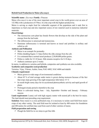Reading	
  material,	
  SST	
  by	
  Dr.	
  Vishwanath	
  Koti,	
  Asst.	
  Professor,	
  UAS,	
  GKVK,	
  Bangalore-­‐65	
   Page	
  49	
  
	
  
Hybrid Seed Production in Maize (Zea mays)
	
  
Scientific name : Zea mays Family : Poaceae
Maize (Zea mays) is one of the most important cereal crop in the world grown over an area of
132 Mha with a production of 570m.t. It is the crop with the highest productivity.
Maize is serving as staple food for vulnerable segment of the population and it rank first in
importance as feed crop and also important source of raw material used in numerous industrial
materials.
Floral biology
• The monoecious corn plant has female flowers that develop on the side of the plant and
emerge from the leaf node.
• The inflorescence is unisexual and monoecious.
• Staminate inflorescence is terminal and known as tassel and pistillate is axillary and
called as cob
Anthesis and Pollination
ü Maize is an example for protandry.
ü Pollen shedding begins 1-3 days before the silks emerge from the cob.
ü It is estimated that a normal tassel produces 2,50,00,000 pollen grains.
ü Pollen is viable for 12-18 hours. Silk remains receptive for 8-10 days.
ü Anthesis continues up to 2 weeks
In maize, in addition to varieties and hybrids, composites and synthetics are also available.
Synthetics and composites seed production
Varieties: Vijay, Vikram, Amber, Sona, NAC-6002, NAC-6004 and shakthi
Climatic requirement
• Maize grown in wide range of environmental conditions
• About 85 % of total acreage under maize is grown during monsoon because of the fact
that crops stops growing if the night temperature falls below 15 ˚C
• Its needs bright sunny days for its accelerated photosynthetic activity and rapid growth of
plants
• Prolonged cloudy period is harmful to the crop
• Maize is cultivated during June – July, September- October and January - February
seasons
Land requirement: Loamy soil with high organic matter with neutral pH is the best for maize.
The land should meet preceding crop requirement
Isolation: Since maize is a cross pollinated crop, it is necessary to isolate seed field from maize
crops of any other variety. The seed field must be isolated at least by 400 meters for foundation
and 200 metres for certified class seed from seed of other varieties of maize.
Field preparation and sowing
ü Plough the field five to six times to get fine tilth.
 