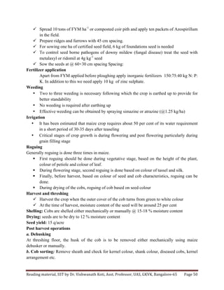 Reading	
  material,	
  SST	
  by	
  Dr.	
  Vishwanath	
  Koti,	
  Asst.	
  Professor,	
  UAS,	
  GKVK,	
  Bangalore-­‐65	
   Page	
  50	
  
	
  
ü Spread 10 tons of FYM ha-1
or composted coir pith and apply ten packets of Azospirillum
in the field.
ü Prepare ridges and furrows with 45 cm spacing.
ü For sowing one ha of certified seed field, 6 kg of foundations seed is needed
ü To control seed borne pathogens of downy mildew (fungal disease) treat the seed with
metalaxyl or ridomil at 4g kg-1
seed
ü Sow the seeds at @ 60×30 cm spacing Spacing:
Fertilizer application
Apart from FYM applied before ploughing apply inorganic fertilizers 150:75:40 kg N: P:
K. In addition to this we need apply 10 kg of zinc sulphate.
Weeding
• Two to three weeding is necessary following which the crop is earthed up to provide for
better standability
• No weeding is required after earthing up
• Effective weeding can be obtained by spraying simazine or atrazine (@1.25 kg/ha)
Irrigation
• It has been estimated that maize crop requires about 50 per cent of its water requirement
in a short period of 30-35 days after teaseling
• Critical stages of crop growth is during flowering and post flowering particularly during
grain filling stage
Roguing
Generally roguing is done three times in maize.
§ First roguing should be done during vegetative stage, based on the height of the plant,
colour of petiole and colour of leaf.
§ During flowering stage, second roguing is done based on colour of tassel and silk.
§ Finally, before harvest, based on colour of seed and cob characteristics, roguing can be
done.
§ During drying of the cobs, roguing of cob based on seed colour
Harvest and threshing
ü Harvest the crop when the outer cover of the cob turns from green to white colour
ü At the time of harvest, moisture content of the seed will be around 25 per cent
Shelling: Cobs are shelled either mechanically or manually @ 15-18 % moisture content
Drying: seeds are to be dry to 12 % moisture content
Seed yield: 15 q/acre
Post harvest operations
a. Dehusking
At threshing floor, the husk of the cob is to be removed either mechanically using maize
dehusker or manually.
b. Cob sorting: Remove sheath and check for kernel colour, shank colour, diseased cobs, kernel
arrangement etc.
 