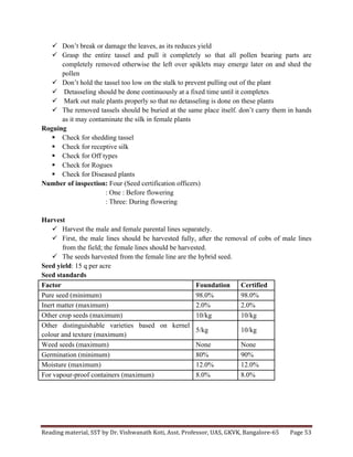 Reading	
  material,	
  SST	
  by	
  Dr.	
  Vishwanath	
  Koti,	
  Asst.	
  Professor,	
  UAS,	
  GKVK,	
  Bangalore-­‐65	
   Page	
  53	
  
	
  
ü Don’t break or damage the leaves, as its reduces yield
ü Grasp the entire tassel and pull it completely so that all pollen bearing parts are
completely removed otherwise the left over spiklets may emerge later on and shed the
pollen
ü Don’t hold the tassel too low on the stalk to prevent pulling out of the plant
ü Detasseling should be done continuously at a fixed time until it completes
ü Mark out male plants properly so that no detasseling is done on these plants
ü The removed tassels should be buried at the same place itself. don’t carry them in hands
as it may contaminate the silk in female plants
Roguing
§ Check for shedding tassel
§ Check for receptive silk
§ Check for Off types
§ Check for Rogues
§ Check for Diseased plants
Number of inspection: Four (Seed certification officers)
: One : Before flowering
: Three: During flowering
Harvest
ü Harvest the male and female parental lines separately.
ü First, the male lines should be harvested fully, after the removal of cobs of male lines
from the field; the female lines should be harvested.
ü The seeds harvested from the female line are the hybrid seed.
Seed yield: 15 q per acre
Seed standards
Factor Foundation Certified
Pure seed (minimum) 98.0% 98.0%
Inert matter (maximum) 2.0% 2.0%
Other crop seeds (maximum) 10/kg 10/kg
Other distinguishable varieties based on kernel
colour and texture (maximum)
5/kg 10/kg
Weed seeds (maximum) None None
Germination (minimum) 80% 90%
Moisture (maximum) 12.0% 12.0%
For vapour-proof containers (maximum) 8.0% 8.0%
 
