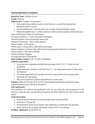 Reading	
  material,	
  SST	
  by	
  Dr.	
  Vishwanath	
  Koti,	
  Asst.	
  Professor,	
  UAS,	
  GKVK,	
  Bangalore-­‐65	
   Page	
  54	
  
	
  
Seed production in sorghum
Botanical Name: Sorghum bicolor
Family: Poaceae
Inflorescence: Compact / loose panicle
• Each panicle bears spiklets in pairs, out of that one is sessile (bisexual) and one
pedicelate (male or sterile).
• Sessile spikelet bears 3 stamens and ovary is single styled and feathery stigma
• Pediccelate spiklets bears 3 anthers which are sterile and rarely produce functional ovary
Type of Pollination: Often cross pollination.
Flowering of panicle: 2-4 days after panicle emergence
Flowering pattern: From tip proceeds downwards
Duration of flowering: 7 days (within panicle)
Pollen viability: 10-20 minutes
Pollen colour: Lemon yellow, older pollen turn orange.
Stigma receptivity: Initiates 2 days before flower opening and remains for several days.
Flower anthesis: 2.00 AM to 8.00AM
Selfing technique: Bagging
Crossing technique: Emasculation
High yielding varieties: CSV-15, DSV-6, Maldandi
Climatic requirement
• Area where the temperature during flowering ranges from 27-32 ˚C is best for seed
production
• Night temperature should not fall below the 11˚ C for longer period since it affects seed
development
• Flowering stage should not coincide with rains it causes pollen loss and grain mold
deteriorate the seed quality
• Best season suited for sorghum seed production is rabi season
Isolation: 200 m for FS and 100 m for CS. If surrounding field infested with Johnson grass
isolation distance will be 400 m for FS and CS.
Soil requirement:
Soil should be well drained and problematic soils are not suited for seed production. In the
previous season the same crop should not be grown and field should be free from Johnson grass
plants
Seeds and sowing:
• Seeds should be obtained from authenticated source with tag and bill
• Seed rate is 10 kg per ha
• Seed treatment: Seeds can be treated with corbofuron to control shoot fly incidence
• Seeds will be sown on ridges and furrows at rate of 45×15 cm spacing
Fertilizer application: 80:40:40 N:P:K
 