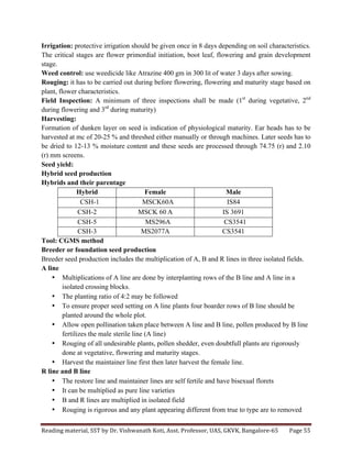 Reading	
  material,	
  SST	
  by	
  Dr.	
  Vishwanath	
  Koti,	
  Asst.	
  Professor,	
  UAS,	
  GKVK,	
  Bangalore-­‐65	
   Page	
  55	
  
	
  
Irrigation: protective irrigation should be given once in 8 days depending on soil characteristics.
The critical stages are flower primordial initiation, boot leaf, flowering and grain development
stage.
Weed control: use weedicide like Atrazine 400 gm in 300 lit of water 3 days after sowing.
Rouging: it has to be carried out during before flowering, flowering and maturity stage based on
plant, flower characteristics.
Field Inspection: A minimum of three inspections shall be made (1st
during vegetative, 2nd
during flowering and 3rd
during maturity)
Harvesting:
Formation of dunken layer on seed is indication of physiological maturity. Ear heads has to be
harvested at mc of 20-25 % and threshed either manually or through machines. Later seeds has to
be dried to 12-13 % moisture content and these seeds are processed through 74.75 (r) and 2.10
(r) mm screens.
Seed yield:
Hybrid seed production
Hybrids and their parentage
Hybrid Female Male
CSH-1 MSCK60A IS84
CSH-2 MSCK 60 A IS 3691
CSH-5 MS296A CS3541
CSH-3 MS2077A CS3541
Tool: CGMS method
Breeder or foundation seed production
Breeder seed production includes the multiplication of A, B and R lines in three isolated fields.
A line
• Multiplications of A line are done by interplanting rows of the B line and A line in a
isolated crossing blocks.
• The planting ratio of 4:2 may be followed
• To ensure proper seed setting on A line plants four boarder rows of B line should be
planted around the whole plot.
• Allow open pollination taken place between A line and B line, pollen produced by B line
fertilizes the male sterile line (A line)
• Rouging of all undesirable plants, pollen shedder, even doubtfull plants are rigorously
done at vegetative, flowering and maturity stages.
• Harvest the maintainer line first then later harvest the female line.
R line and B line
• The restore line and maintainer lines are self fertile and have bisexual florets
• It can be multiplied as pure line varieties
• B and R lines are multiplied in isolated field
• Rouging is rigorous and any plant appearing different from true to type are to removed
 
