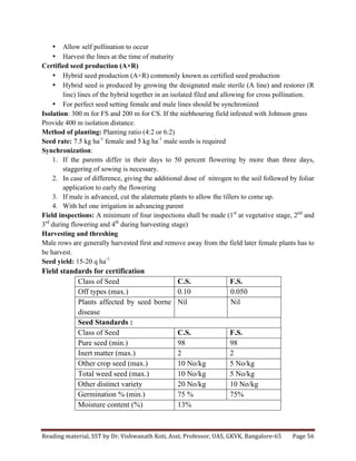 Reading	
  material,	
  SST	
  by	
  Dr.	
  Vishwanath	
  Koti,	
  Asst.	
  Professor,	
  UAS,	
  GKVK,	
  Bangalore-­‐65	
   Page	
  56	
  
	
  
• Allow self pollination to occur
• Harvest the lines at the time of maturity
Certified seed production (A×R)
• Hybrid seed production (A×R) commonly known as certified seed production
• Hybrid seed is produced by growing the designated male sterile (A line) and restorer (R
line) lines of the hybrid together in an isolated filed and allowing for cross pollination.
• For perfect seed setting female and male lines should be synchronized
Isolation: 300 m for FS and 200 m for CS. If the niebhouring field infested with Johnson grass
Provide 400 m isolation distance.
Method of planting: Planting ratio (4:2 or 6:2)
Seed rate: 7.5 kg ha-1
female and 5 kg ha-1
male seeds is required
Synchronization:
1. If the parents differ in their days to 50 percent flowering by more than three days,
staggering of sowing is necessary.
2. In case of difference, giving the additional dose of nitrogen to the soil followed by foliar
application to early the flowering
3. If male is advanced, cut the alaternate plants to allow the tillers to come up.
4. With hel one irrigation in advancing parent
Field inspections: A minimum of four inspections shall be made (1st
at vegetative stage, 2nd
and
3rd
during flowering and 4th
during harvesting stage)
Harvesting and threshing
Male rows are generally harvested first and remove away from the field later female plants has to
be harvest.
Seed yield: 15-20 q ha-1
Field standards for certification
Class of Seed C.S. F.S.
Off types (max.) 0.10 0.050
Plants affected by seed borne
disease
Nil Nil
Seed Standards :
Class of Seed C.S. F.S.
Pure seed (min.) 98 98
Inert matter (max.) 2 2
Other crop seed (max.) 10 No/kg 5 No/kg
Total weed seed (max.) 10 No/kg 5 No/kg
Other distinct variety 20 No/kg 10 No/kg
Germination % (min.) 75 % 75%
Moisture content (%) 13%
 
