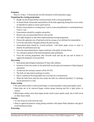 Reading	
  material,	
  SST	
  by	
  Dr.	
  Vishwanath	
  Koti,	
  Asst.	
  Professor,	
  UAS,	
  GKVK,	
  Bangalore-­‐65	
   Page	
  68	
  
	
  
Irrigation
Once in 10 days. Critical periods are boll formation to boll maturation stages.
Organizing the crossing programme
• Rough out all off-types before commencement of the crossing programme
• In female block, Emasculate and pollinate all the buds appearing during first seven weeks
of reproductive phase to ensure good seed set
• Restrict emasculation to evening hours 2 pm to 6 pm and pollination to morning between
9 am to 1 pm
• Emasculation should be complete and perfect
• Remove any un-emasculated flower with out fail
• Give light irrigation as and when required during crossing programme
• Choose the optimum size of bud and avoid too young or too old buds for emasculation
• Cover the male buds with paper pockets the previous day
• Emasculated buds should be covered perfectly with butter paper covers or straw to
identify for pollination next day
• Cross the emasculated flower stigma uniformly with pollen of male flower
• Tie a thread to pedicel of the bud immediately after pollination
• Close the crossing programme after eleventh week and nip the top end of shoots to
support development of crossed bolls
Harvesting
• Seed attains physiological maturation 45 days after anthesis.
• Initiation of hair line cracks on the dried bolls are the physical symptoms of physiological
maturation.
• At that time the moisture content will be 30-35%.
• The bolls are harvested as pickings in cotton.
• Due to continuous flowering habit once over harvest is not practiced.
• When the bolls burst with hair line cracks the bolls are collected and dried. 5-7 pickings
can be practiced in a crop.
Kapas sorting
• The outer shell of boll is removed and kapas is sorted manually to pick good quality seeds.
• Hard locks are to be removed (kapas without proper bursting and lint is light yellow in
colour).
• While kapas sorting, since these kapas mostly result in poor quality seeds, due to boll worm
or other insect attack.
Ginning
• It is the removal of lint from the seed.
• Done in approved ginneries using ginning machine with proper blade sharpness and gap to
avoid mechanical injury
Processing
 