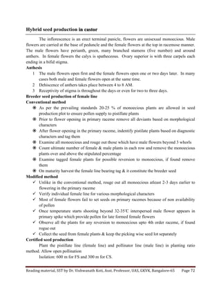 Reading	
  material,	
  SST	
  by	
  Dr.	
  Vishwanath	
  Koti,	
  Asst.	
  Professor,	
  UAS,	
  GKVK,	
  Bangalore-­‐65	
   Page	
  72	
  
	
  
Hybrid seed production in castor
The inflorescence is an erect terminal panicle, flowers are unisexual monoecious. Male
flowers are carried at the base of peduncle and the female flowers at the top in racemose manner.
The male flowers have perianth, green, many branched stamens (five number) and around
anthers. In female flowers the calyx is spatheceous. Ovary superior is with three carpels each
ending in a bifid stigma.
Anthesis
1 The male flowers open first and the female flowers open one or two days later. In many
cases both male and female flowers open at the same time.
2 Dehiscence of anthers takes place between 4 to 8 AM.
3 Receptivity of stigma is throughout the days or even for two to three days.
Breeder seed production of female line
Conventional method
ž As per the prevailing standards 20-25 % of monoecious plants are allowed in seed
production plot to ensure pollen supply to pistillate plants
ž Prior to flower opening in primary raceme remove all deviants based on morphological
characters
ž After flower opening in the primary raceme, indentify pistilate plants based on diagnostic
characters and tag them
ž Examine all monoecious and rouge out those which have male flowers beyond 3 whorls
ž Count ultimate number of female & male plants in each row and remove the monoecious
plants over and above the stipulated percentage
ž Examine tagged female plants for possible reversion to monoecious, if found remove
them
ž On maturity harvest the female line bearing tag & it constitute the breeder seed
Modified method
ü Unlike in the conventional method, rouge out all monoecious atleast 2-3 days earlier to
flowering in the primary raceme
ü Verify individual female line for various morphological characters
ü Most of female flowers fail to set seeds on primary racemes because of non availability
of pollen
ü Once temperature starts shooting beyond 32-35 ̊C interspersed male flower appears in
primary spike which provide pollen for late formed female flowers
ü Observe all the plants for any reversion to monoecious upto 4th order raceme, if found
rogue out
ü Collect the seed from female plants & keep the picking wise seed lot separately
Certified seed production
Plant the pistillate line (female line) and pollinator line (male line) in planting ratio
method. Allow open pollination
Isolation: 600 m for FS and 300 m for CS.
 