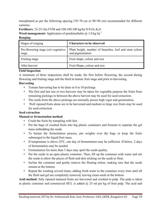 Reading	
  material,	
  SST	
  by	
  Dr.	
  Vishwanath	
  Koti,	
  Asst.	
  Professor,	
  UAS,	
  GKVK,	
  Bangalore-­‐65	
   Page	
  78	
  
	
  
transplanted as per the following spacing (70×70 cm or 90×90 cm) recommended for different
varieties.
Fertilizers: 25-25 t/ha FYM and 100:100:100 kg/ha N:P2O5:K20
Weed management: Application of pendimethalin @ 1.0 kg ha-1
Rouging:
Stages of rouging Characters to be observed
Pre-flowering stage (or) vegetative
stage
Plant height, number of branches, leaf and stem colour
and pigmentation
Fruiting stage Fruit shape, colour and size
After harvest Fruit Shape, colour and size
Field Inspection
A minimum of three inspections shall be made, the first before flowering, the second during
flowering and fruiting stage and the third at mature fruit stage and prior to harvesting.
Harvesting
• Tomato harvesting has to be done in 8 to 10 pickings.
• The first and last one or two harvests may be taken for vegetable purpose the fruits from
remaining pickings in between the above harvest may be used for seed extraction.
• The seeds from the above pickings are normally posses high vigor and germination.
• Well ripened fruits alone are to be harvested and medium to large size fruits may be used
for seed extraction.
Seed extraction
Manual or fermentation method
• Crush the fruits by trampling with feet.
• Put the bags of crushed fruits into big plastic containers and ferment to separate the gel
mass embedding the seeds.
• To hasten the fermentation process, put weights over the bags or keep the fruits
submerged in the liquid fruit mass.
• If temperature is above 25ºC, one day of fermentation may be sufficient. If below, 2 days
of fermentation may be needed
• Fermentation for more than 3 days may spoil the seeds quality.
• Put the seeds in an open plastic container. Then, fill up the container with water and stir
the seeds to allow the pieces of flesh and skin sticking on the seeds to float.
• Incline the container and gently remove the floating refuse, making sure that the seeds
remain at the bottom.
• Repeat the washing several times, adding fresh water to the container every time until all
the flesh and gel are completely removed, leaving clean seeds at the bottom
Acid method: fully ripened matured fruits are harvested and crushed to pulp. The pulp is taken
in plastic container and commercial HCL is added @ 25 ml per kg of fruit pulp. The acid and
 