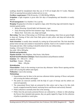 Reading	
  material,	
  SST	
  by	
  Dr.	
  Vishwanath	
  Koti,	
  Asst.	
  Professor,	
  UAS,	
  GKVK,	
  Bangalore-­‐65	
   Page	
  81	
  
	
  
seedlings should be transplanted when they are of 15-20 cm height after 4-5 weeks. Maintain
45x45 cm spacing between plant to plant and row to row.
Fertilizer requirement: FYM-20 tons/ha, 115:200:200 Kg NPK/ha
Irrigation: a light irrigation is given after few days of transplanting and thereafter at weekly
interval.
Weed management: Use Alachlor 2 lit a.i per ha.
Rouging: Rouging has to be done at vegetative stage, early flowering stage and maturity stage to
maintain genetic purity.
• Before flowering: Growth habit, leaf characters, vigor.
• Early flowering and first fruit immature stage: flower characters.
• Mature fruit: fruit color, size, shape and length.
Harvesting: The time of Harvesting is at 50-60 days after planting, when fruits are green bright
to deep red. Turning of fruit color from Dark green to pale yellow and deep red indicate the
maturity of fruits.
Seed extraction: is usually done manually by cutting tip of harvested fruit. The fruit should be
picked when red ripe and crushed or macerated by machine. Seed is to be washed to make it free
from pulp and skin. After washing it should be dried in the sun without delay.
Grading : 4.0 (r) and 2.10 (r) mm sieve
See yield: 100 to 200 kg/ha.
Hybrid seed production
Popular hybrids: Arka Meghana, Arka Sweta, Arka Harita
Hybrid Seed Production technique: Hand emasculation and pollination method
Isolation : FS – 500 m CS – 250 m
Seed Rate : Female – 500 g/ha
Male – 100 g/ha
Hybridization
Emasculation : Early in the morning or previous day afternoon before flower opening and the
petals still covering the anthers and stigma.
Pollination : Late in the morning
Methodology
• Emasculation may be done in the previous afternoon before opening of flower and petals
still covering the anthers and stigma.
• The petals are removed carefully with the help of a pair of forceps and the anthers are
removed separately.
• The emasculated flower buds are protected by thin cotton wad or bag or by thin cloth
loosely wrapped around the branch, enclosing leaves and flowers and securely fastened.
• Pollen collection is normally done late in the morning.
• Pollen from the previously protected flowers are collected by a vibrator or after plucking
the flowers from intended male parents, they are gently tapped by finger for the collection
of pollen in petridish or watch glass.
 