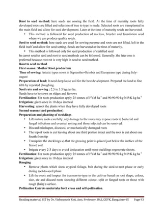 Reading	
  material,	
  SST	
  by	
  Dr.	
  Vishwanath	
  Koti,	
  Asst.	
  Professor,	
  UAS,	
  GKVK,	
  Bangalore-­‐65	
   Page	
  93	
  
	
  
Root to seed method: here seeds are sowing the field. At the time of maturity roots fully
developed roots are lifted and selection of true to type is made. Selected roots are transplanted in
the main field and allow for seed development. Later at the time of maturity seeds are harvested.
• This method is followed for seed production of nucleus, breeder and foundation seed
where we can produce quality seeds.
Seed to seed method: here seeds are used for sowing purpose and roots are not lifted, left in the
field itself and allow for seed setting. Seeds are harvested at the time of maturity.
• This method is followed only for seed production of certified seed
In carrot seed to seed and root to seed methods can be followed. Generally, the later one is
preferred because root rot is very high in seed to seed method.
Root to seed method
First season: Mother Root production
Time of sowing: Asiatic types sown in September-October and Europeans type during July-
august
Preparation of land: It need deep loose soil for the best development. Prepared the land to fine
tilth by repeated ploughing.
Seed rate and sowing : 2.5 to 3.5 kg per ha.
Seeds have to be sown on ridges and furrows
Fertilization: For roots production apply 25 tonnes of FYM ha-1
and 90:90:90 kg N:P:K kg ha-1
Irrigation: given once in 10 days interval
Harvesting: uproot the plants when they have fully developed roots
Second season (seed production)
Preparation and planting of stecklings
• Lift mature roots carefully, any damage to the roots may expose roots to bacterial and
fungal infections and eventual rotting and those infected can be removed.
• Discard misshapen, diseased, or mechanically damaged roots
• The top of roots is cut leaving about one third portion intact and the root is cut about one
fourth from tip
• Transplant the stecklings so that the growing point is placed just below the surface of the
firmed soil.
• Irrigate every 2-3 days to avoid desiccation until most stecklings regenerate shoots.
Fertilization: For roots production apply 25 tonnes of FYM ha-1
and 90:90:90 kg N:P:K kg ha-1
Irrigation: given once in 10 days interval
Rouging
• Remove plants which show atypical foliage, bolt during the seed-to-root phase or early
during root-to-seed phase.
• Lift the roots and inspect for trueness-to-type to the cultivar based on root shape, colour,
size, etc and discard roots showing different colour, split or fanged roots or those with
rough (hairy) surface.
Pollination Carrots undertake both cross and self-pollination.
 