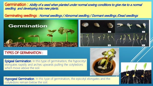 Seed science and technology - Basics