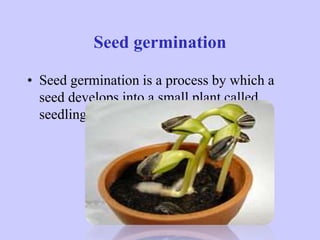 Seed germination
• Seed germination is a process by which a
seed develops into a small plant called
seedling.
 