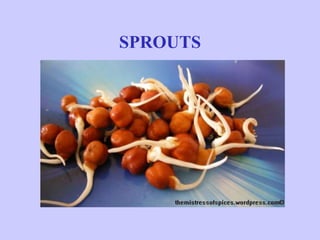 SPROUTS
 