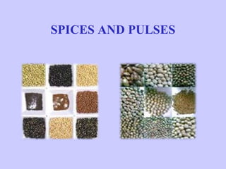 SPICES AND PULSES
 