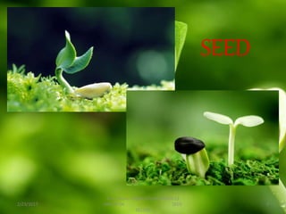 2/23/2017
B.Sc. (Hons.) AGRICULTURE BATCH-13
GROUP-04 SEED
SECTOR
5
SEED
 