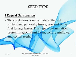 SEED TYPE
1.Epigeal Germination
• The cotyledons come out above the soil
surface and generally turn green and act as
first foliage leaves. This type of germination
present in groundnut, bean, cotton, sunflower
and cotton seeds.
2/23/2017 7
B.Sc. (Hons.) AGRICULTURE BATCH-13 GROUP-04
SEED SECTOR
 