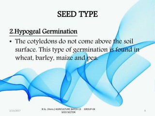 SEED TYPE
2.Hypogeal Germination
• The cotyledons do not come above the soil
surface. This type of germination is found in
wheat, barley, maize and pea.
2/23/2017 8
B.Sc. (Hons.) AGRICULTURE BATCH-13 GROUP-04
SEED SECTOR
 