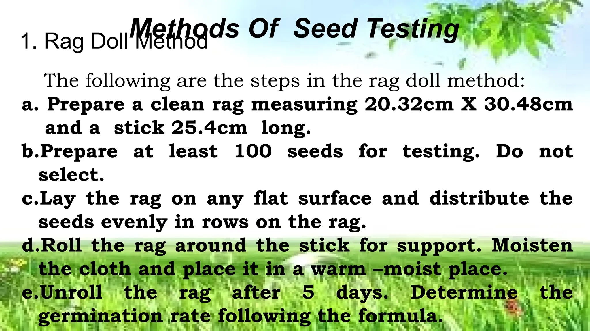 Seed Selection: The Foundation of Successful Farming | PPTX