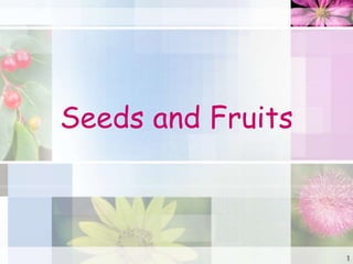 Seeds and Fruits
1
 