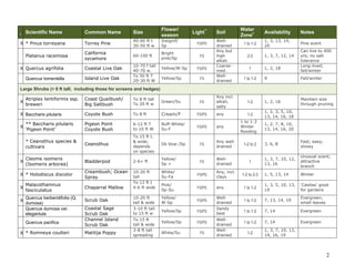 2 
I Scientific Name Common Name Size Flower/ season Light** Soil Water Zone+ Availability Notes 
X 
* Pinus torreyana 
Torrey Pine 
40-60 ft t 
30-50 ft w 
Insignif/ 
Sp 
FS/PS 
Well- drained 
1 to 1-2 
1, 3, 13, 14, 20 
Pine scent 
Platanus racemosa 
California sycamore 
60-100 ft 
Bright pink/Sp 
FS 
Any but high alkali 
2-3 
1, 3, 7, 12, 14 
Can live to 400 yrs; no salt tolerance 
X 
Quercus agrifolia 
Coastal Live Oak 
10-70 f tall 
40-70 w. 
Yellow/W-Sp 
FS/PS 
Coarse- med. 
1 
1, 2, 18 
Long-lived; fall/winter 
Quercus tomentella 
Island Live Oak 
To 50 ft T 
20-30 ft W 
Yellow/Sp 
FS 
Well- drained 
1 to 1-2 
9 
Fall/winter Large Shrubs (> 6 ft tall; including those for screens and hedges) 
X 
Atriplex lentiformis ssp. breweri 
Coast Quailbush/ Big Saltbush 
To 8 ft tall 
To 20 ft w 
Green/Su 
FS 
Any incl. alkali, salty 
1-2 
1, 2, 16 
Maintain size through pruning 
X 
Baccharis pilularis 
Coyote Bush 
To 8 ft 
Cream/F 
FS/PS 
any 
1-2 
1, 2, 3, 5, 10, 13, 14, 16, 18 
X 
** Baccharis pilularis ‘Pigeon Point’ 
Pigeon Point Coyote Bush 
6-12 ft T 
to 10 ft W 
Buff-White/ Su-F 
FS/PS 
any 
1 to 1-2 
Winter flooding 
1, 2, 7, 8, 10, 13, 14, 16, 20 
* Ceanothus species & cultivars 
Ceanothus 
To 15 ft t. & wide; depends on species 
Dk blue /Sp 
FS 
Any well- drained 
1-2 to 2 
3, 6, 8 
Fast; easy; showy 
X 
Cleome isomeris (Isomeris arborea) 
Bladderpod 
2-6+ ft 
Yellow/ 
Sp + 
FS 
Well- drained 
1 
1, 3, 7, 10, 12, 13, 16 
Unusual scent; attractive branch 
X 
* Holodiscus discolor 
Creambush; Ocean Spray 
10-20 ft tall 
White/ 
Su-Fa 
FS/PS 
Any, incl. clays 
1-2 to 2-3 
1, 5, 13, 14 
Winter 
X 
Malacothamnus fasciculatus 
Chaparral Mallow 
To 12 ft t 
4-6 ft wide 
Pink/ 
Sp-Su 
FS/PS 
any 
1 to 1-2 
1, 3, 5, 10, 13, 19 
‘Casitas’ good for gardens 
X 
Quercus berberidifolia (Q. dumosa) 
Scrub Oak 
10-20 ft tall & wide 
Yellow/ 
W-Sp 
FS/PS 
Well- drained 
1 to 1-2 
7, 13, 14, 19 
Evergreen; small leaves 
Quercus dumosa var. elegantula 
Coastal Sage Scrub Oak 
3-10 ft tall 
to 15 ft w 
Yellow/Sp 
FS/PS 
Sandy best 
1 to 1-2 
7, 14 
Evergreen 
Quercus pacifica 
Channel Island Scrub Oak 
To 15 ft tall & wide 
Yellow/Sp 
FS/PS 
Well- drained 
1 to 1-2 
7, 14 
Evergreen 
X 
* Romneya coulteri 
Matilija Poppy 
3-8 ft tall 
spreading 
White/Su 
FS 
Well- drained 
1-2 
1, 3, 7, 10, 13, 14, 16, 19 
 