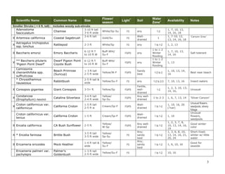 3 
I Scientific Name Common Name Size Flower/ season Light** Soil Water Zone+ Availability Notes Smaller Shrubs ( < 6 ft. tall) ; includes woody sub-shrubs 
Adenostoma fasciculatum 
Chamise 
3-10 ft tall 
3-6 ft wide 
White/Sp-Su 
FS 
any 
1-2 
1, 7, 10, 13, 14, 16, 18 
X 
Artemisia californica 
Coastal Sagebrush 
3-6 ft tall 
Gold/Su 
FS 
Well- drained 
1 
1, 7-10, 12, 13, 14, 16, 18 
'Canyon Gray' 
X 
Astragalus trichopodus ssp. lonchus 
Rattlepod 
2-3 ft 
White/Sp 
FS 
any 
1 to 1-2 
1, 2, 13 
X 
Baccharis emoryi 
Emory Baccharis 
6-12 ft T 
to 10 ft W 
Buff-Wht/ Su-F 
FS/PS 
any 
1 to 1-2 
Winter flooding 
1, 7, 10, 13, 14, 16 
Salt tolerant 
X 
** Baccharis pilularis ‘Pigeon Point Dwarf’ 
Dwarf Pigeon Point Coyote Bush 
6-12 ft T 
to 10 ft W 
Buff-Wht/ Su-F 
FS/PS 
any 
1 to 1-2 
Winter flooding 
1, 13 
X 
Camissonia cheiranthifolia spp. suffruticosa 
Beach Primrose (Suncup) 
< 3 ft tall 
2-5 ft wide 
Yellow/W-F 
FS/PS 
Sandy best 
1-2 to 2 
1, 10, 13, 14, 16 
Best near beach 
* Chrysothamnus nauseosus 
Rabbitbush 
2-5 ft tall & wide 
Yellow/Su-F 
FS 
any 
1-2 to 2-3 
7, 10, 13, 16 
Insect-eaters 
X 
Coreopsis gigantea 
Giant Coreopsis 
3-5+ ft 
Yellow/Sp 
FS/PS 
Fertile, well- drained 
1-2 
1, 2, 3, 10, 13, 14, 16, 
Unusual 
X 
Constancea (Eriophyllum) nevinii 
Catalina Silverlace 
3-4 ft tall 
2-4 ft wide 
Yellow/ 
Sp-Su 
FS/PS 
Any well- drained 
1 to 2-3 
1, 6, 7, 13, 14 
‘Silver Canyon’ 
X 
Croton californicus var. californicus 
California Croton 
1-5 ft tall 
2-5 ft w 
Cream/Sp-F 
FS/PS 
Well- drained 
1 to 1-2 
1, 10, 16, 20 (?var) 
Unusual flowers, seedpods; silvery foliage 
Croton californicus var. tenius 
California Croton 
1-5 ft 
Cream/Sp-F 
FS/PS 
Well- drained 
1 to 1-2 
1, 10 
Unusual flowers, seedpods 
X 
Encelia californica 
CA Bush Sunflower 
2-5 ft 
Yellow/ 
W-Sp 
FS/PS 
Any well- drained 
1 to 1-2 
1, 2, 3, 7, 8, 10, 13, 14, 16, 19 
Good winter color 
X 
* Encelia farinosa 
Brittle Bush 
3-5 ft tall 
3-5 ft wide 
Yellow/ 
Sp-Su 
FS 
Any; sandy best 
1 to 1-2 
1, 3, 6, 8, 10, 13, 14, 16, 21, 20, 24 
Short-lived; whiter w/ little water 
X 
Ericameria ericoides 
Mock Heather 
1-4 ft tall & wide 
Yellow/ 
Su-F 
FS 
Any; sandy best 
1 to 1-2 
1, 6, 10, 16 
Good for seaside 
Ericameria palmeri var. pachylepis 
Palmer's Goldenbush 
1-3 ft tall 
2-5 ft wide 
Yellow/Su-F 
FS 
1 to 1-2 
10, 16 
 