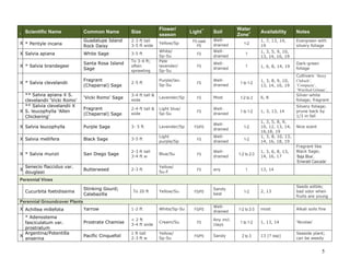 5 
I Scientific Name Common Name Size Flower/ season Light** Soil Water Zone+ Availability Notes 
X 
* Perityle incana 
Guadalupe Island Rock Daisy 
2-3 ft tall 
3-5 ft wide 
Yellow/Sp 
FS coast 
PS 
Well- drained 
1-2 
1, 7, 13, 14, 19 
Evergreen with silvery foliage 
X 
Salvia apiana 
White Sage 
3-5 ft 
White/ 
Sp-Su 
FS 
Well- drained 
1 
1, 3, 5, 9, 10, 13, 14, 16, 19 
X 
* Salvia brandegeei 
Santa Rosa Island Sage 
To 3-4 ft; often sprawling 
Pale lavender/ 
Sp-Su 
FS 
Well- drained 
1 
1, 6, 8, 14, 19 
Dark-green foliage 
X 
* Salvia clevelandii 
Fragrant (Chaparral) Sage 
2-5 ft 
Purple/lav. 
Sp-Su 
FS 
Well- drained 
1 to 1-2 
1, 3, 8, 9, 10, 13, 14, 16, 19 
Cultivars: ‘Betsy Clebsch’, ‘Compacta’, ‘Winifred Gilman’, 
** Salvia apiana X S. clevelandii ‘Vicki Romo’ 
‘Vicki Romo’ Sage 
3-4 ft tall & wide 
Lavender/Sp 
FS 
Most 
1-2 to 2 
6, 8 
Silver-white foliage; fragrant 
X 
** Salvia clevelandii X S. leucophylla ‘Allen Chickering’ 
Fragrant (Chaparral) Sage 
2-4 ft tall & wide 
Light blue/ 
Sp-Su 
FS 
Well- drained 
1 to 1-2 
1, 3, 13, 14 
Silvery foliage; prune back by 1/3 in fall 
X 
Salvia leucophylla 
Purple Sage 
3- 5 ft 
Lavender/Sp 
FS/PS 
Well- drained 
1-2 
1, 3, 5, 8, 9, 10, 12, 13, 14, 16,18, 19 
Nice scent 
X 
Salvia mellifera 
Black Sage 
3-5 ft 
Light purple/Sp 
FS 
Well- drained 
1-2 
1, 3, 8, 10, 13, 14, 16, 18, 19 
X 
* Salvia munzii 
San Diego Sage 
2-3 ft tall 
3-4 ft w 
Blue/Su 
FS 
Well- drained 
1-2 to 2-3 
1, 3, 6, 8, 13, 14, 16, 17 
Fragrant like Black Sage; ‘Baja Blue’, ‘Emerald Cascade’ 
X 
Senecio flaccidus var. douglasii 
Butterweed 
2-3 ft 
Yellow/ 
Su-F 
FS 
any 
1 
13, 14 
Perennial Vines 
Cucurbita foetidissima 
Stinking Gourd; Calabazilla 
To 20 ft 
Yellow/Su 
FS/PS 
Sandy best 
1-2 
2, 13 
Seeds edible; bad odor when fruits are young Perennial Groundcover Plants 
X 
Achillea millefolia 
Yarrow 
1-2 ft 
White/Sp-Su 
FS/PS 
Well- drained 
1-2 to 2-3 
most 
Alkali soils fine 
* Adenostema fasciculatum var. prostratum 
Prostrate Chamise 
< 2 ft 
3-4 ft wide 
Cream/Su 
FS 
Any incl. clays 
1 to 1-2 
1, 13, 14 
‘Nicolas’ 
X 
Argentina/Potentilla anserina 
Pacific Cinquefoil 
1 ft tall 
2-3 ft w 
Yellow/ 
Sp-Su 
FS/PS 
Sandy 
2 to 3 
13 (? ssp) 
Seaside plant; can be weedy  