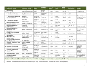 8 
I Scientific Name Common Name Size Flower/ season Light** Soil Water Zone+ Availability Notes 
X 
Penstemon heterophyllus 
Foothill Penstemon 
1-2 ft 
Purple/ 
Sp-Su 
FS/PS 
sandy 
1 to 1-2 
14 
Many blooms 
* Penstemon laetus 
Gay Penstemon 
1-3 ft 
Lavender/ 
Sp-Su 
FS/PS 
1 to 1-2 
1, 13 
* Penstemon newberryi var. sonomensis 
Sonoma Penstemon 
1-2 ft tall 
2-4 ft wide 
Magenta/ 
FS/PS 
Well- drained 
1-2 to 2 
8, 13 
Blue-green foliage; difficult; ‘St. Helena’ 
X 
* Penstemon palmeri 
Pink Wild Snapdragon 
4-5 ft tall 
1-2 ft wide 
Lavender/ 
Sp-Su 
FS/PS 
Well- drained 
1 to 1-2 
1, 14 
X 
Penstemon spectabilis ssp. subviscosus 
Showy Penstemon 
3-4 ft 
Lavender- pink/Sp-Su 
FS 
Sandy or rocky 
1 
1, 3, 6, 10, 13, 14, 16 
X 
Pseudognaphalium californicum 
California Everlasting 
2-4 ft 
White/Sp 
FS/PS 
Any, incl. clay 
1-2 
1, 2, 10, 13, 16 
Sweet-scented 
X 
Pseudognaphalium canescens ssp. beneolens 
Wooly Everlasting 
1-2 ½ ft 
White/Sp-Su 
FS/PS 
Any, incl. clay 
1-2 
1, 16 
Spreads; gray foliage 
X 
Rumex salicifolius var. salicifolius 
Willow Dock 
2-3 ft tall & wide 
Pink bract / Su 
FS 
Well- drained 
2 to 3 
10, 13 (? var.) 
Seaside fine 
X 
Sairocarpus (Antirrhinum) coulterianus 
Coulter’s (White) Snapdragon 
2-4 ft tall 
White to lavender/Sp 
FS 
Well- drained 
1 
1, 10, 13 
X 
Scrophularia californica ssp. floribunda 
CA Bee Plant 
2-3 ft 
Red/Spr 
PS 
2-3 to 3 
1, 5, 8, 10, 12, 13, 16 
Afternoon shade 
X 
Sidalcea malviflora ssp. malviflora 
Dwarf Checker Mallow 
To 1 ½ ft 
Pink- lavender/ 
FS/PS 
Any 
2-3 to 3 
1, 8, 13, 19 
X 
Solidago californica 
California Goldenrod 
2-4 ft tall 
spreading 
Yellow/Su-F 
FS/PS 
Any 
1-2 to 2-3 
7, 10, 14 
Tolerates seasonal flooding 
X 
Solidago spectabilis var. confinis 
Southern Goldenrod 
3-6 ft tall 
spreading 
Yellow/Su-F 
FS/PS 
Any 
2-3 
10 
Tolerates seasonal flooding 
X 
Stephanomeria blairii 
Blair’s Wirelettuce 
2 ft tall 
3 ft. wide 
Pink/Su-F 
FS/PS 
Well- drained 
1-2 to 
2-3 
13 
Good bird, pollinator plant 
X 
Urtica dioica ssp. holosericea 
Hoary Nettle 
3-6 ft tall 
spreading 
Pink/Sp-F 
PS 
Rich soils ok 
2-3 
1, 10, 13, 16 
Serious allergy on contact Herbaceous Annuals & Biennials (also short-lived perennials usually grown as annuals) – no water after flowering 
All native annuals provide an important seed source for birds and smaller native animals (See Annual Wildflowers list)  