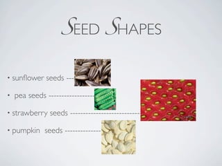 SEED SHAPES

• sunﬂower     seeds --------------

•   pea seeds ------------------

• strawberry    seeds ---------------------------

• pumpkin     seeds --------------
 