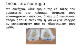 Σπόροι στο διάστημα
Στη συνέχεια, κάθε τμήμα της Στ’ τάξης που
συμμετείχε στο πείραμα, φύτρωσε τους
«διαστημικούς» σπόρους δίπλα από κανονικούς
σπόρους που έμειναν στη Γη, για να γίνει έλεγχος
αν επηρεάστηκαν από το «διαστημικό» τους
ταξίδι.
 