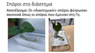 Σπόροι στο διάστημα
Αποτέλεσμα: Οι «διαστημικοί» σπόροι φύτρωσαν
κανονικά όπως οι σπόροι που έμειναν στη Γη.
 