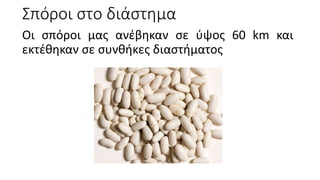 Σπόροι στο διάστημα
Οι σπόροι μας ανέβηκαν σε ύψος 60 km και
εκτέθηκαν σε συνθήκες διαστήματος
 