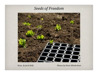 Seeds of Freedom




Story  by Jack Kelly               Photos by Kevin Minderhaut
 