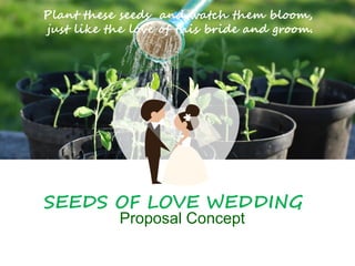 SEEDS OF LOVE WEDDING
Proposal Concept
Plant these seeds and watch them bloom,
just like the love of this bride and groom.
 