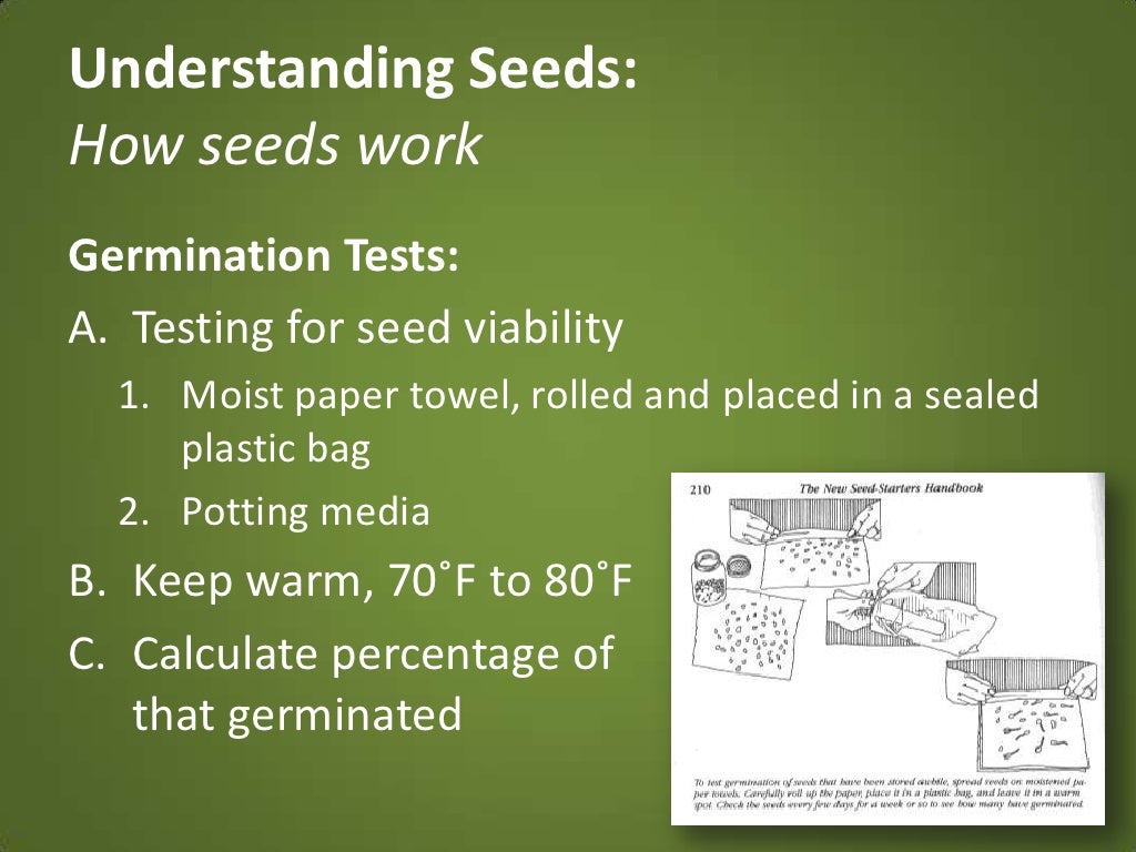 Understanding Seeds How seeds work