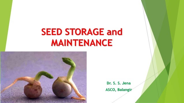 Seed Storage And Maintenance Seed Storage And Maintenance